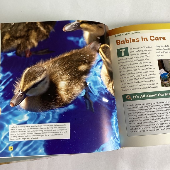 4 /💲20 🤑 Animal Hospital hardcover book - Picture 3 of 5